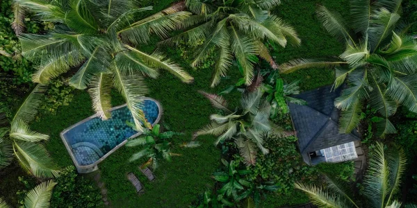 DJI_20250611090841_0292_D